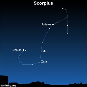 Antares.jpg