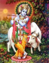 Krishna.jpg