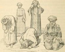 Plik:Salat.jpg