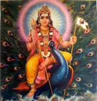 Skanda.jpg